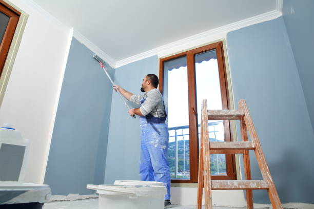 Best Dehumidification Services  in Colfax, WI