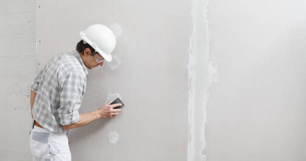 Reliable Colfax, WI Mold Removal Solutions
