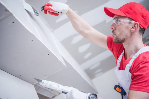 Best Mold Documentation for Insurance Claims  in Colfax, WI